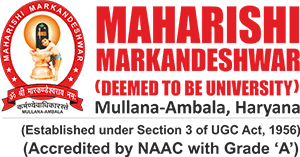 Maharishi Markandeshwar University